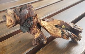hout sculptuur