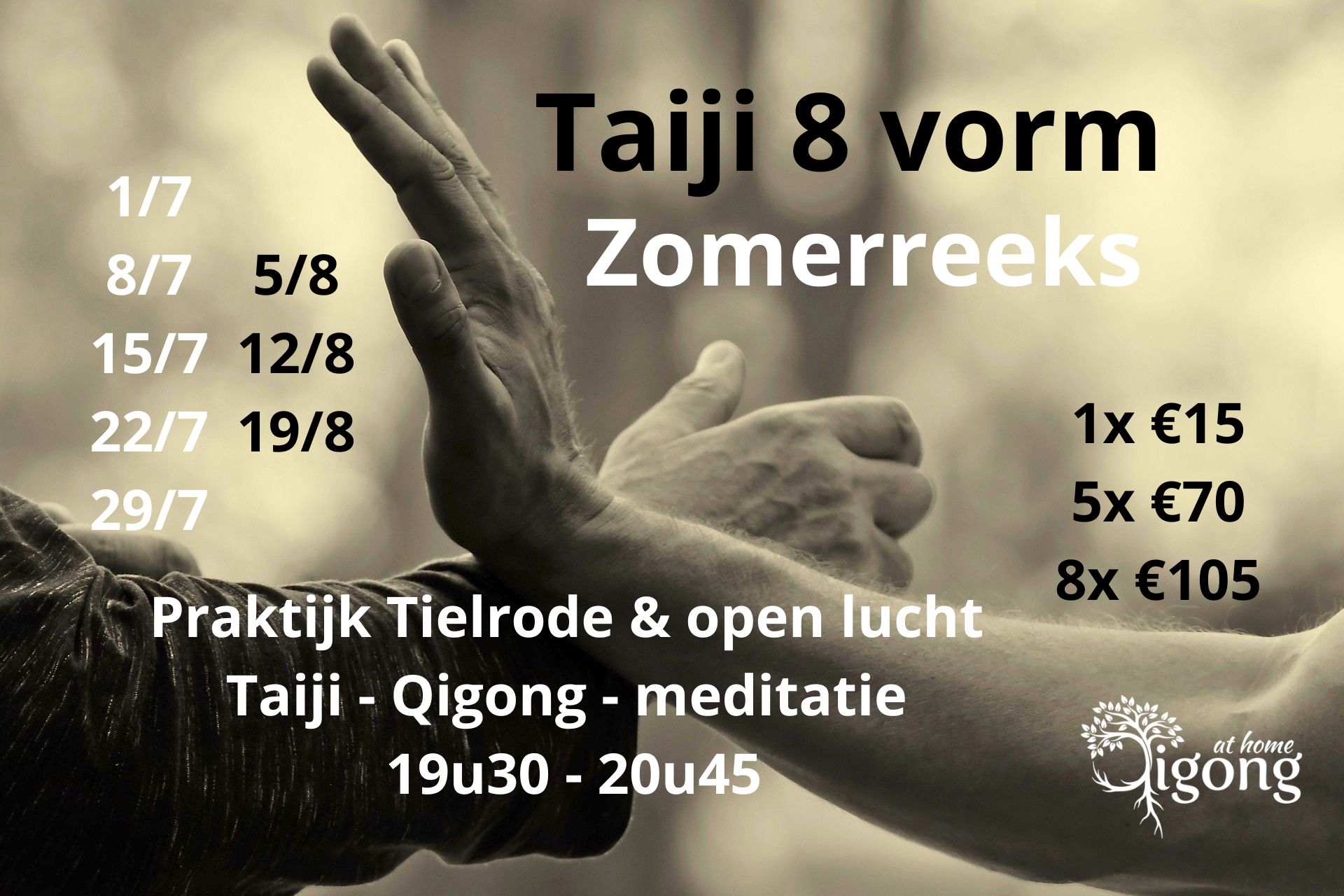 Taiji-8-vorm